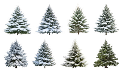PNG Snow-covered evergreen trees collection, element set on transparent background
