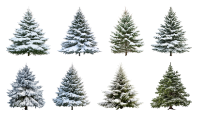PNG Snow-covered evergreen trees collection, element set on transparent background