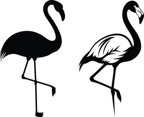 Flamingo Silhouettes  Detailed and Solid Vector Illustration