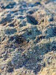 surface of rock