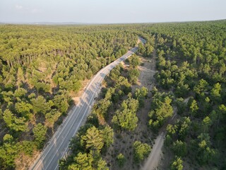 Aerial view of a winding road cutting through a dense green pine forest