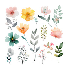 Fototapeta premium floral background with flowers and butterflies