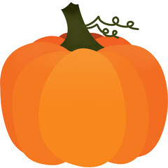 Pumpkin vegetable on isolated transparent background