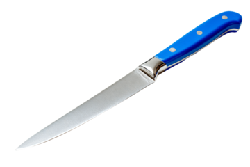 Blue handled kitchen utility knife with a sharp steel blade.