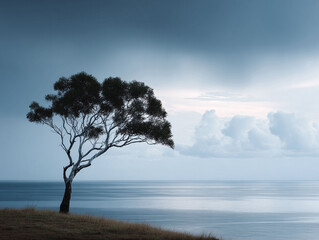 Serene landscape with a lonely tree overlooking the sea under a cloudy sky. Evokes peace, solitude, and natures beauty. Perfect for travel, mindfulness, and inspirational projects.
