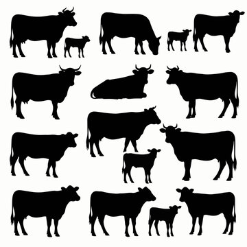 farm animals collection