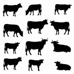 farm animals collection