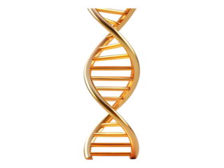 Shiny Gold DNA Double Helix Structure on Transparent Background for Genetic Research