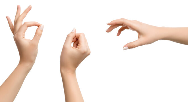 Three hands gesturing on a white isolated studio background on transparent background