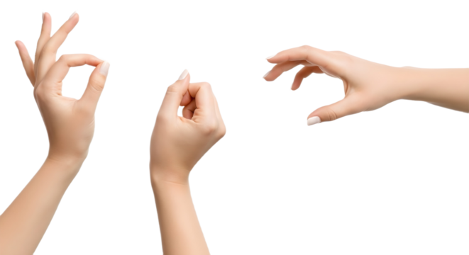 Three hands gesturing on a white isolated studio background on transparent background