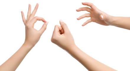 Three hands gesturing in the studio on transparent background