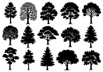 Fototapeta premium collection of trees