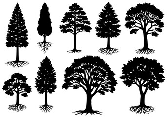 Fototapeta premium Set of trees silhouettes, set of trees