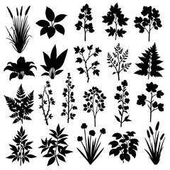 set of floral elements