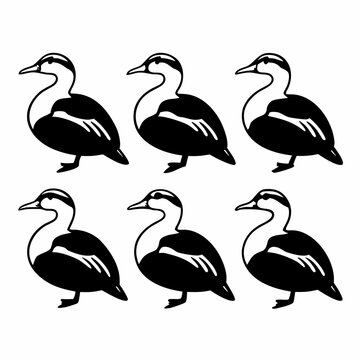 Six shelducks in black and white, a simple vector illustration of ducks