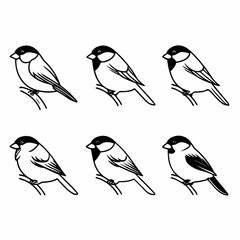 A set of six bird illustrations perched on branch in black and white