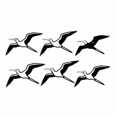 Silhouette of frigatebirds flying, vector illustration of seabirds in flight