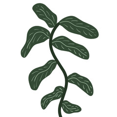 Minimalist botanical illustration of a green leafy vine. Modern flat design with simple shapes and natural tones, perfect for wall art, home decor, eco-themed graphics