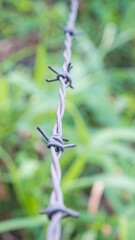 Close-up of barbed wire fence (1)