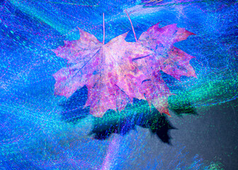 colorful maple leaves with a bright illuminated background, light paintings, luxurious autumn theme