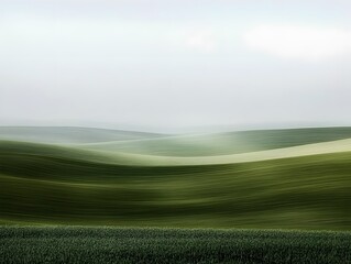 Serene Rolling Hills Landscape, Green Wheat Field, Abstract Nature Photography