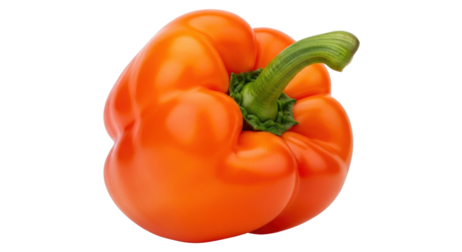 Isolated orange bell pepper with a thick stem, healthy and nutritious food for vegetarians