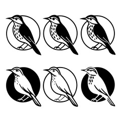 Six song thrush birds in different styles, vector illustration for design