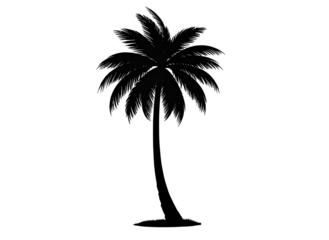 Black silhouette of a palm tree, summer theme, transparent background
