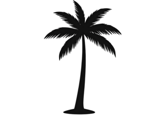 Black silhouette of a palm tree, summer theme, transparent background