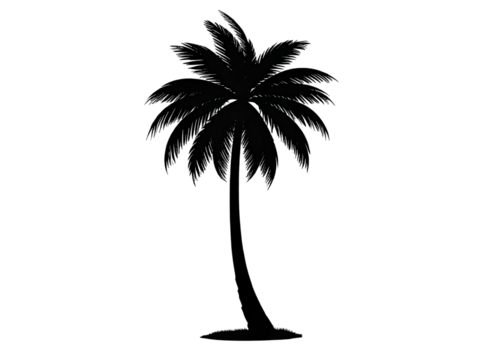 Black silhouette of a palm tree, summer theme, transparent background