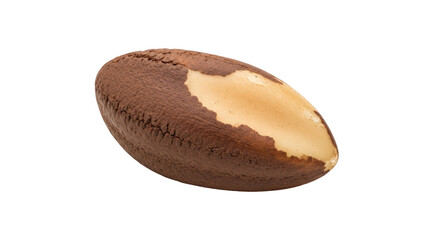 Isolated Brazil nut with brown shell, delicious healthy snack, nutrition source, no additives