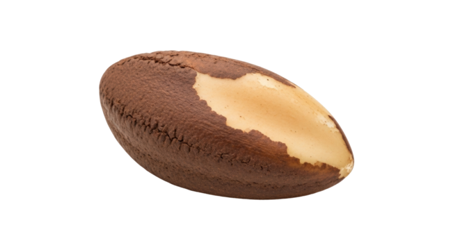 Isolated Brazil nut with brown shell, delicious healthy snack, nutrition source, no additives