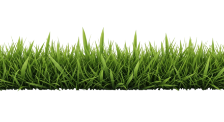 Isolated patch of lush green grass, used as a border, edge, or separator element