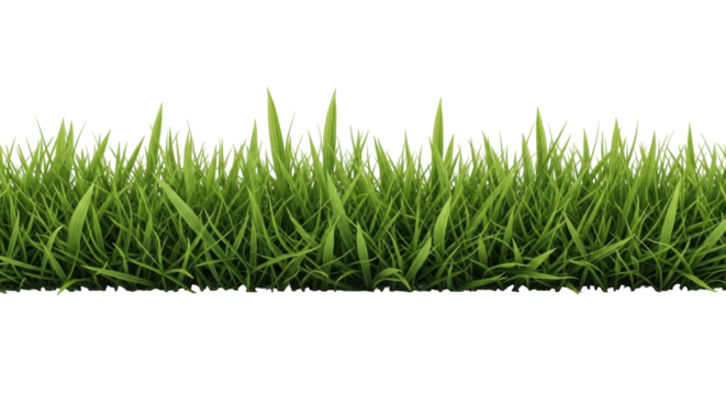 Isolated patch of lush green grass, used as a border, edge, or separator element
