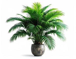 Obraz premium Lush palm in marbled pot