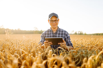A young farmer in a checkered shirt with a digital tablet works in a field. An agronomist checks the quality and growth of the crop at sunset. Gardening concept, harvesting.