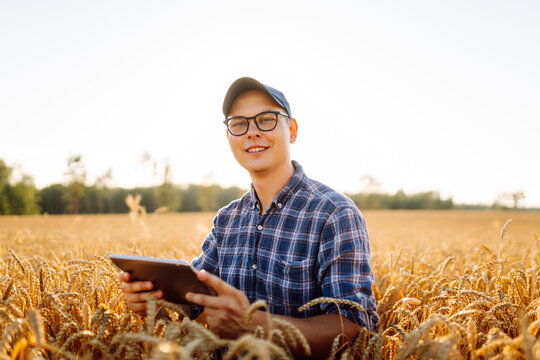A young farmer in a checkered shirt with a digital tablet works in a field. An agronomist checks the quality and growth of the crop at sunset. Gardening concept, harvesting.
