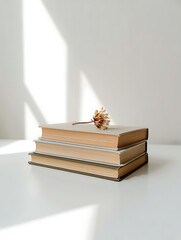 Stack of books with flower in sunlight