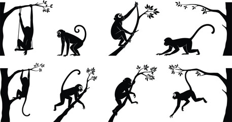 Monkey silhouettes climbing, hanging, swinging, sitting on tree branches, wildlife illustration, jungle animals, primate behavior, nature vector, black design art