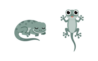 Cute Cartoon Gecko or Lizard Character Vector Illustration Set Sleeping and Sticking Tongue Out