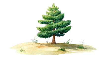 Watercolor painting of a pine tree, small shrubbery on a sandy patch