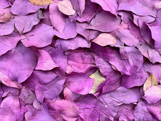 Obraz premium Vibrant Purple Leaf Background Texture Pattern