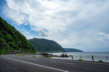 奄美の海沿いの道路 © Syusyu