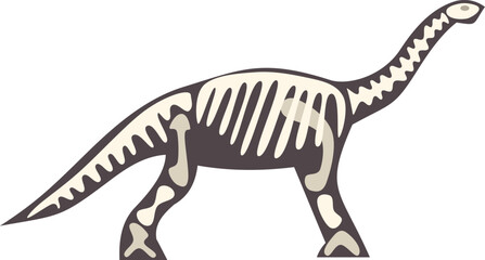 Brontosaurus dinosaur skeleton walking, paleontology, prehistoric animal, large herbivore reptile fossil © anatolir