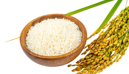 Bowl of white rice with a rice plant stem and green leaves, black backdrop