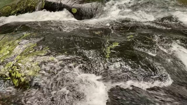 Close view of thin waterfall flow sliding over dark wet rock with foam moss and round leaves at Salakot Falls in Puerto Princesa Palawan Philippines