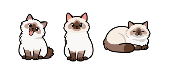 Cute cartoon set of a Birman cat in three poses: licking tongue, sitting, and resting/sleeping, vector illustration for pet and breed design.