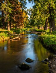 Tranquil stream flowing through a park of colorful trees. Sunlight filters through foliage, creating a serene autumnal scene