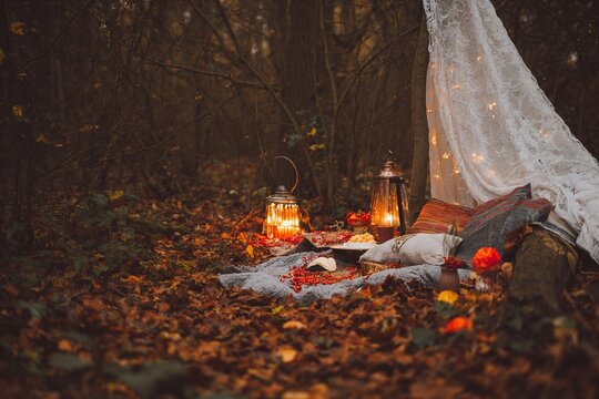 Cozy autumn picnic setup with lanterns in forest - Powered by Adobe