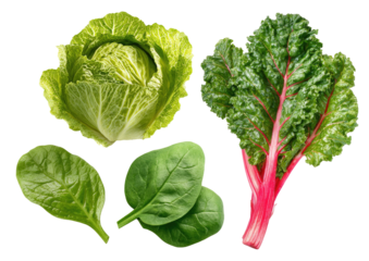 Lettuce, spinach, chard fresh leafy greens